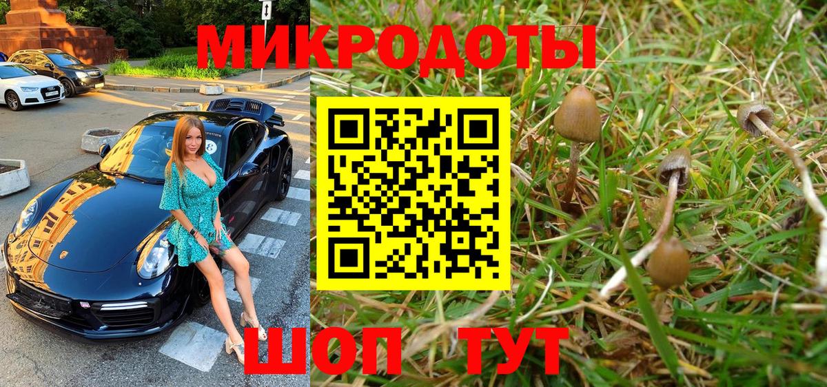 закладки  Галлюциногенные грибы MAGIC MUSHROOMS  Вход с VPN  Галлюциногенные грибы ЛСД  Кирово-Чепецк 
